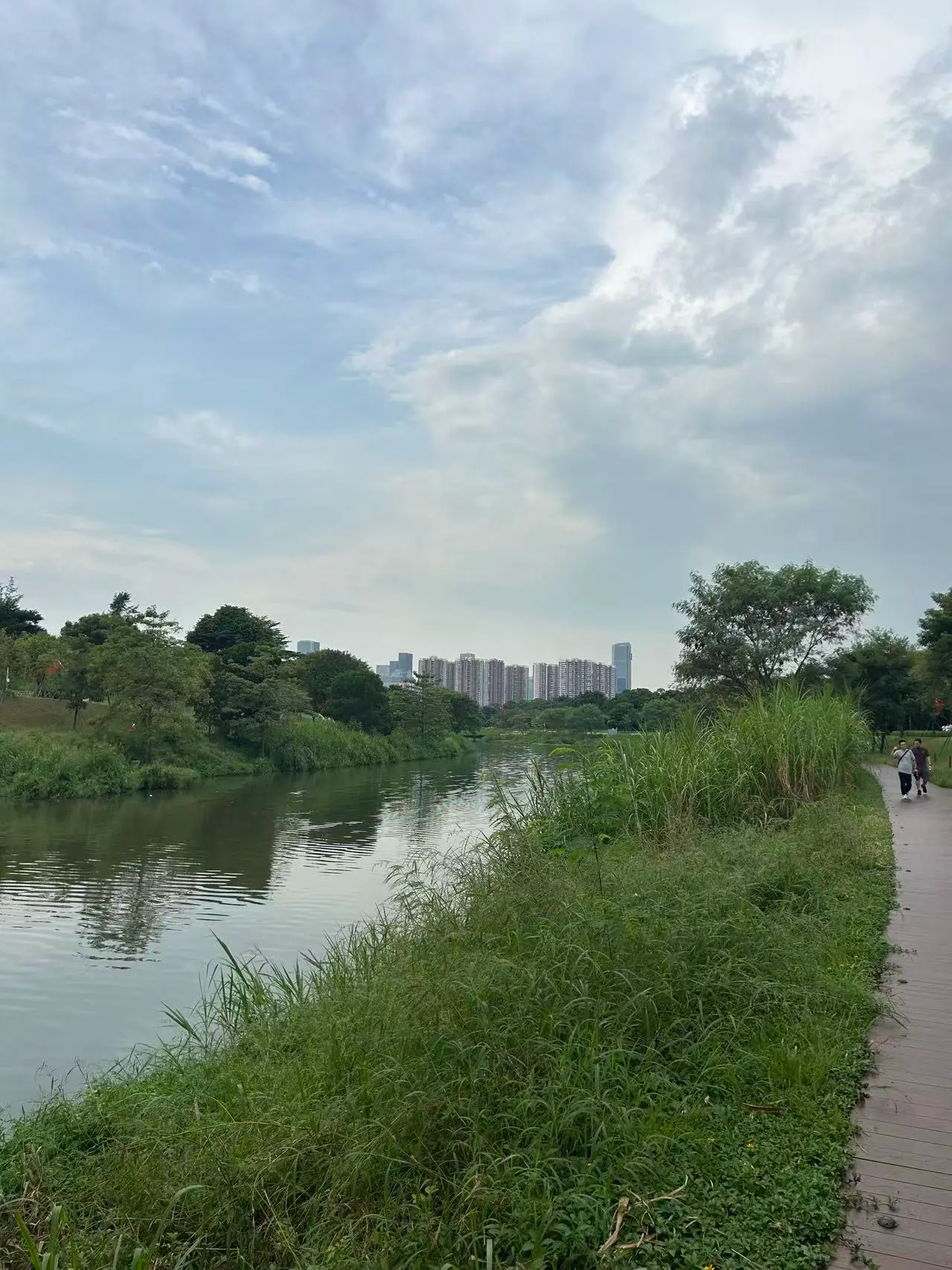 大沙河沿岸